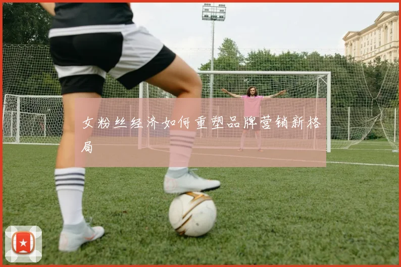 女粉丝经济如何重塑品牌营销新格局