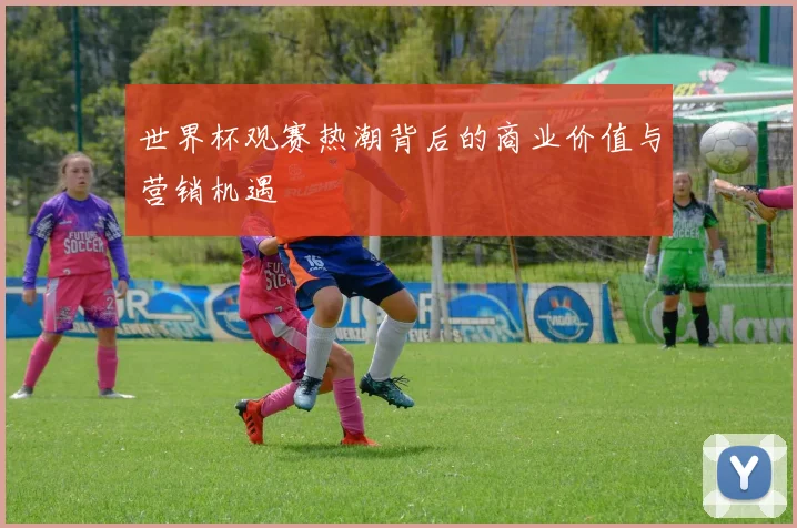 世界杯观赛热潮背后的商业价值与营销机遇