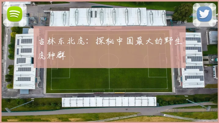 吉林东北虎:探秘中国最大的野生虎种群