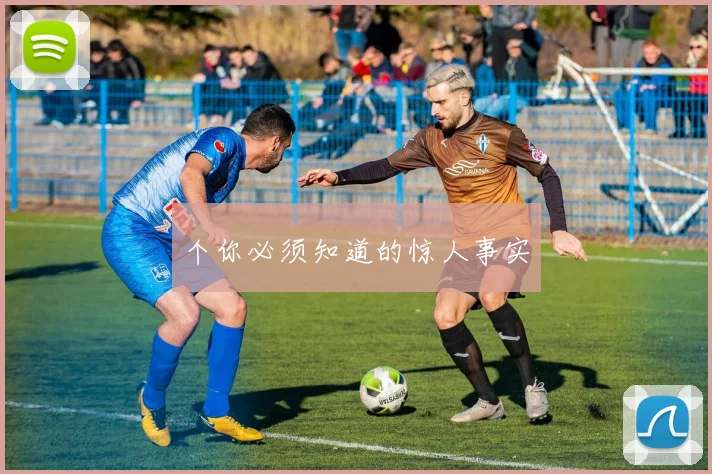 个你必须知道的惊人事实